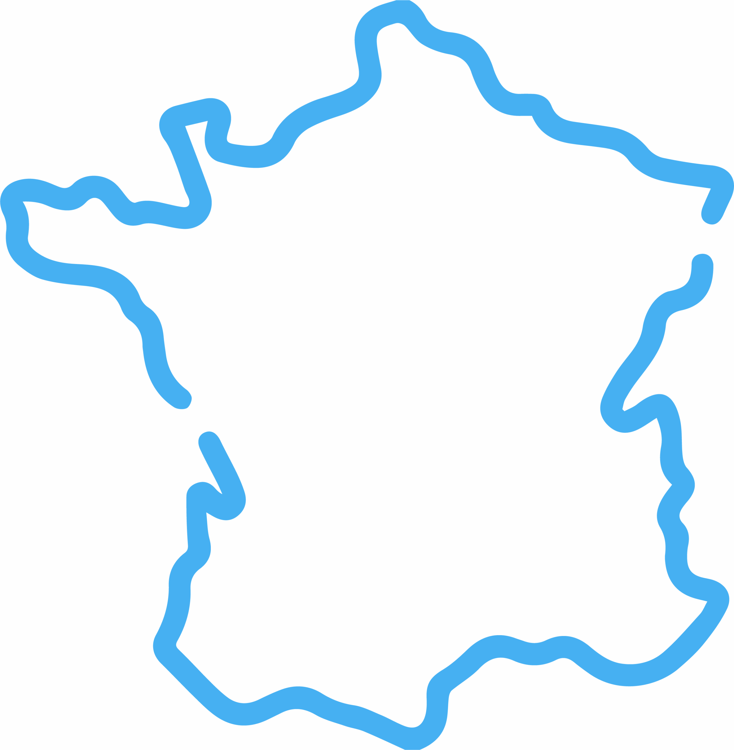 Icone d'une carte de la france bleue