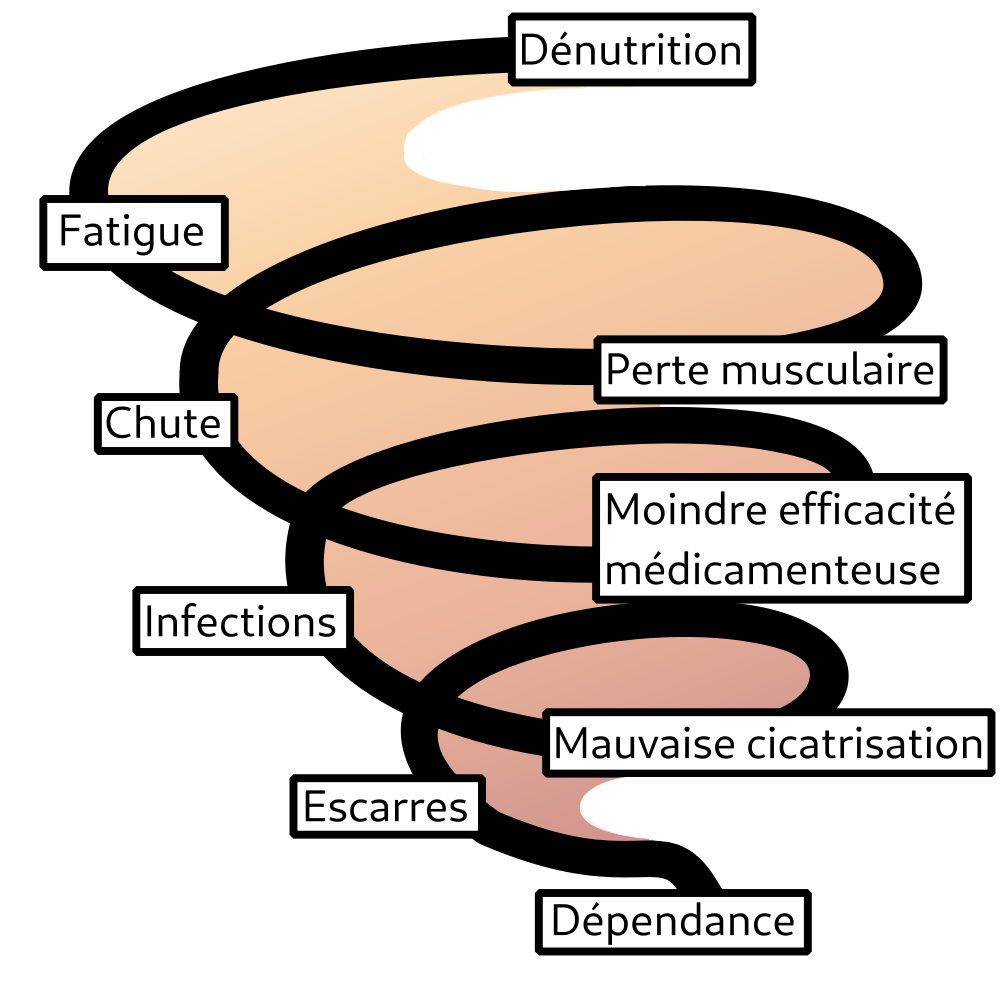 Schéma dénutrition