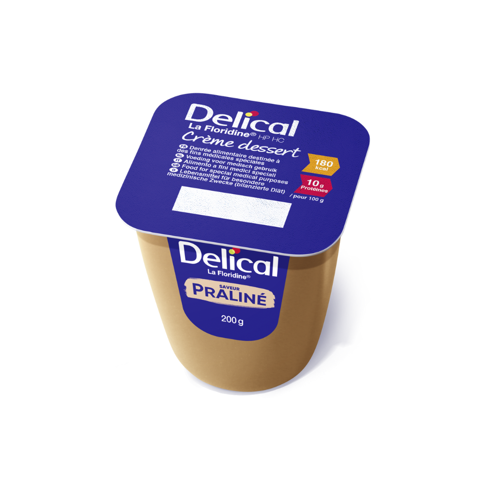 Crème Dessert Délical Praline